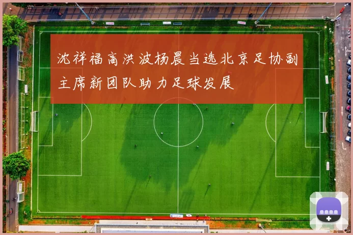 沈祥福高洪波杨晨当选北京足协副主席新团队助力足球发展