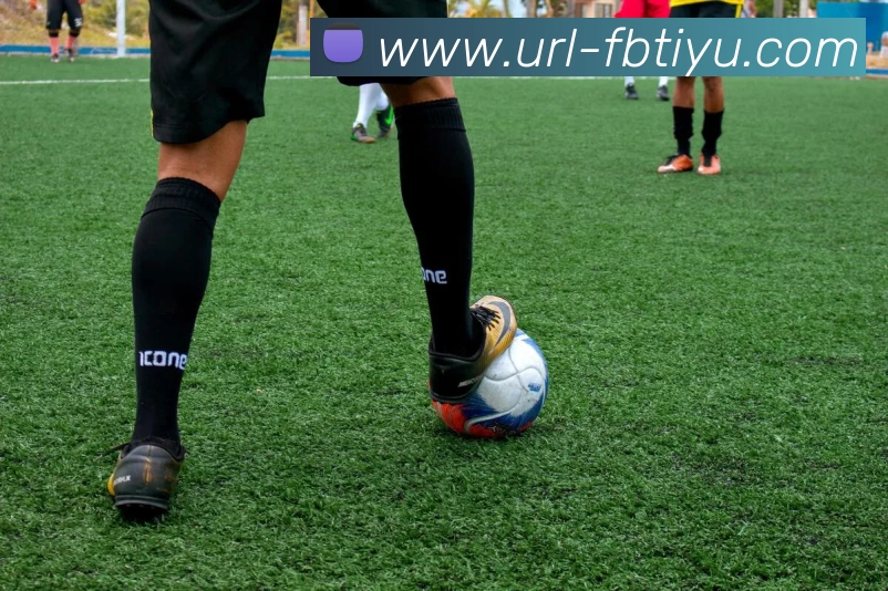 FB体育平台生态图